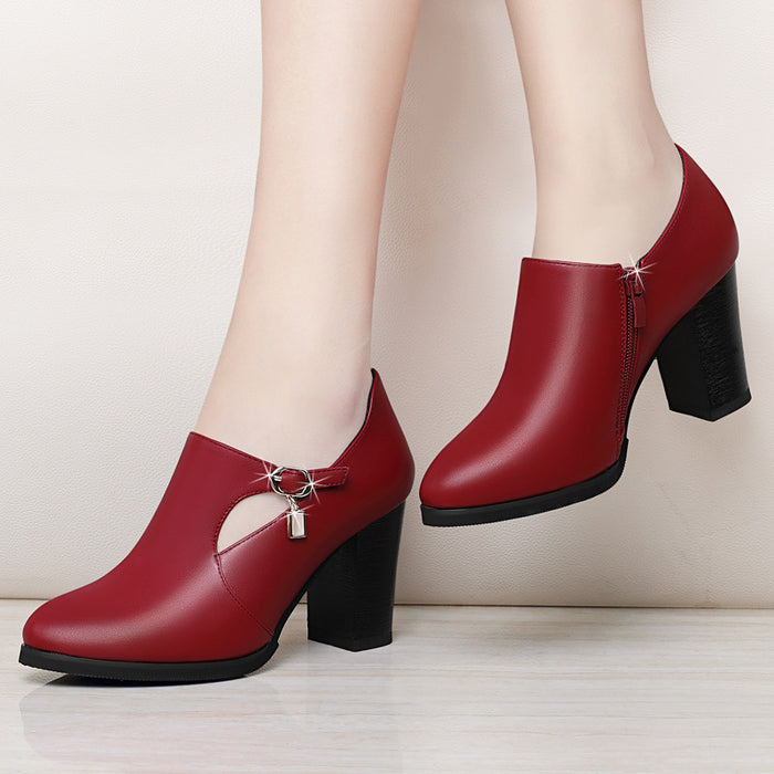 With all-match shoes spring new high-heeled shoes with thick women and middle-aged lady mother shoe leather shoes